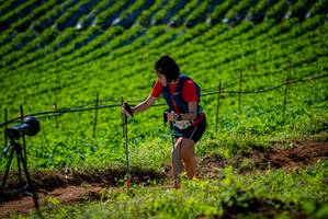 BIB: 
                            <button type="button" onclick="openModal(19161240)" class="btn btn-primary btn-sm float-right btn-popup" data-toggle="modal" data-target=".modal-high-quality">
                        <i class="fas fa-shopping-cart"></i> Add to Cart
                    </button>
                                            <button type="button" onclick="isThisMe(19161240, true)" class="btn btn-success btn-sm float-right btn-popup btn-isme hidden" data-toggle="tooltip" data-placement="bottom" title="นี่คือรูปของคุณใช่ไหม คลิกที่นี่เพื่อเอาเข้าอัลบั้ม">
                        <i class="fas fa-plus"></i> Add to album
                    </button>
                    <button type="button" onclick="isThisMe(19161240, false)" class="btn btn-warning btn-sm float-right btn-popup btn-isnotme hidden">
                        <i class="fas fa-ban"></i> Remove from album
                    </button>